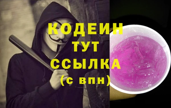 прущий лед Абаза
