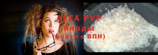 винт Липки