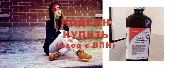прущий лед Абаза