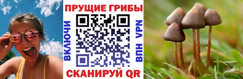 это официальный сайт  гидра онион  Холмск  Псилоцибиновые грибы Magic Shrooms 